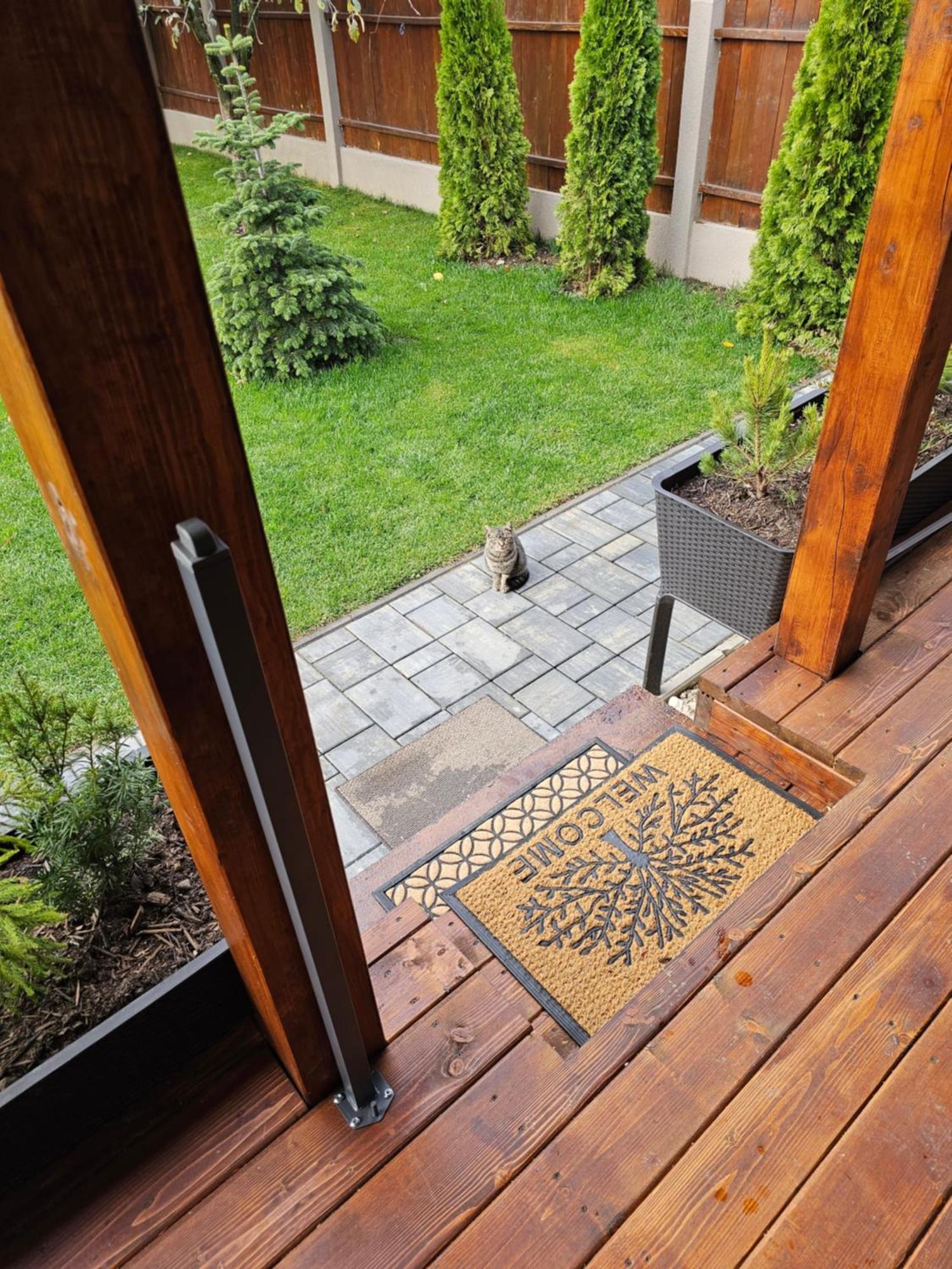 Arbor Inn Braşov Exterior foto